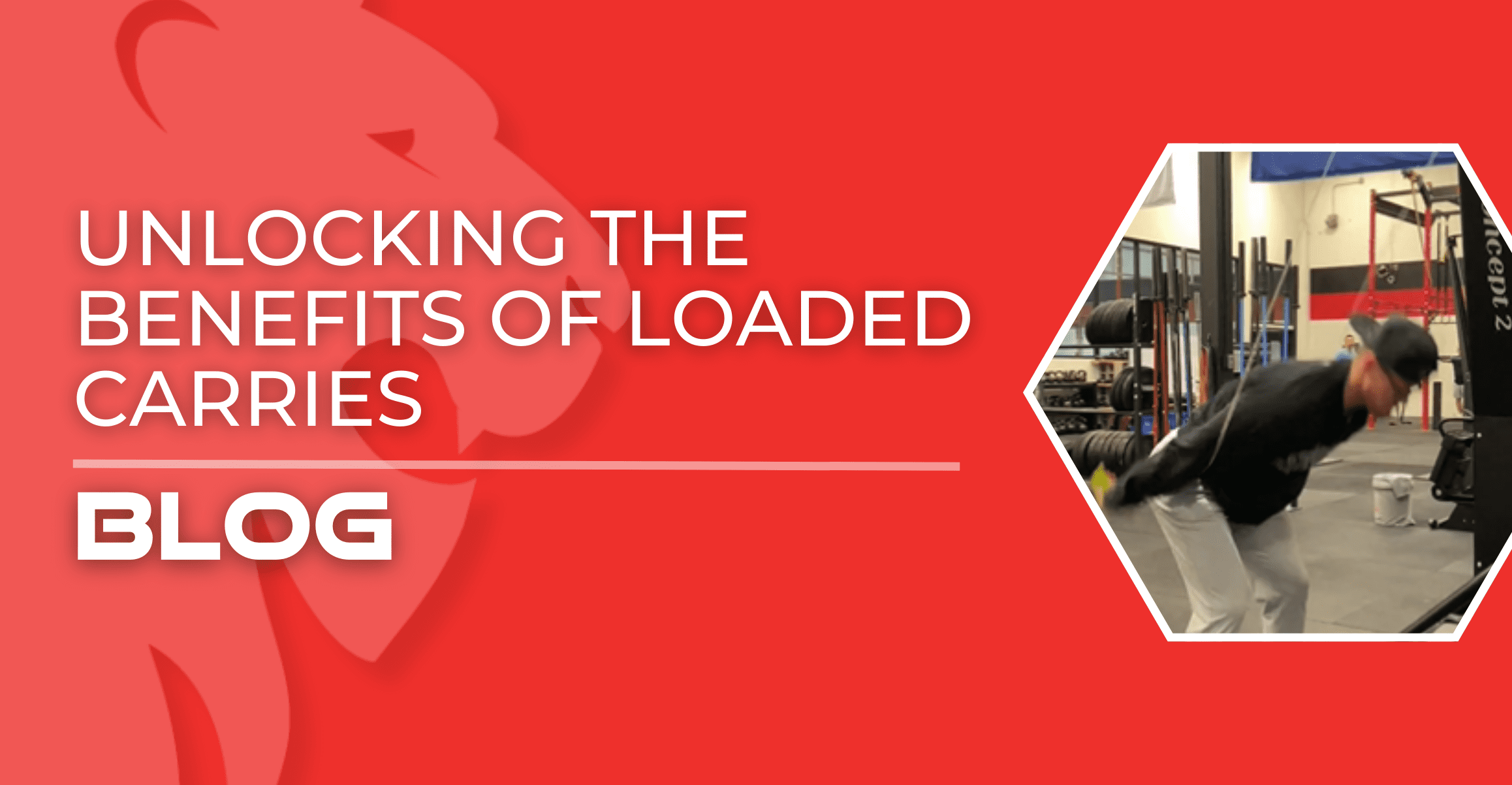 Unlock the power of loaded carries: Boost strength, stability, and functional fitness with this effective routine addition.