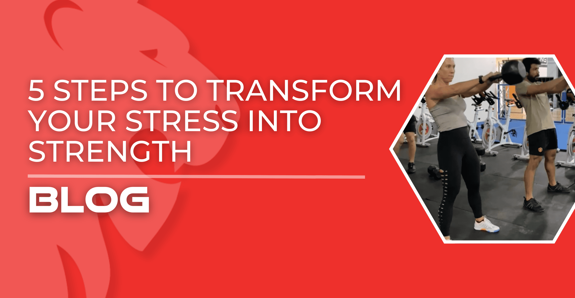 Transform Stress into Strength: Discover five actionable steps to leverage adversity, cultivate resilience, and thrive amidst challenges.