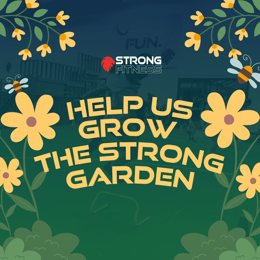 fitness-nl-112024-20